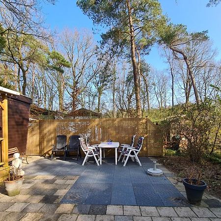 Chalet Boslust Villa IJhorst Exterior photo