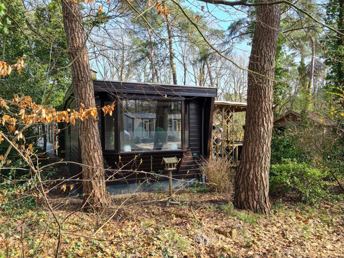 Chalet Boslust Villa IJhorst Exterior photo
